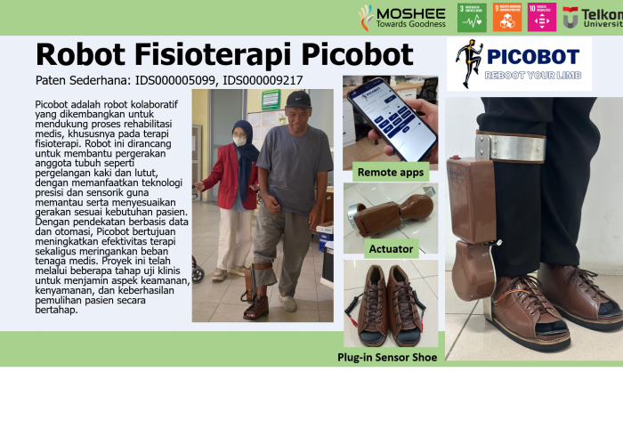 Picobot