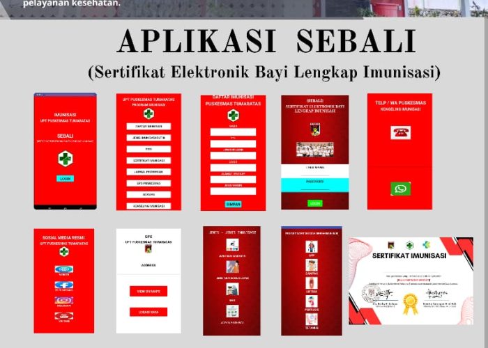 APLIKASI SEBALI PUSKESMAS TUMARATAS